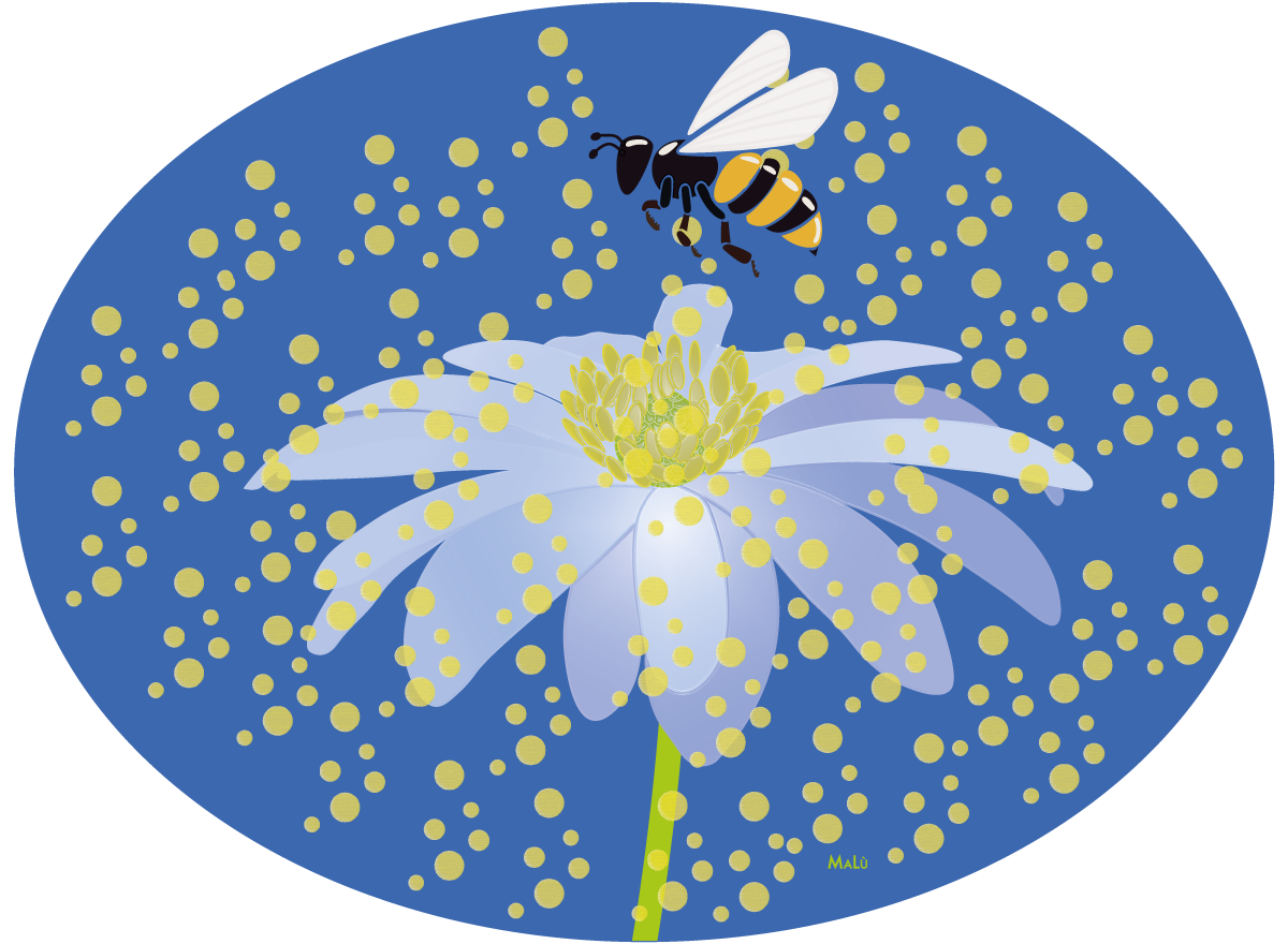 L’ape e il fiore